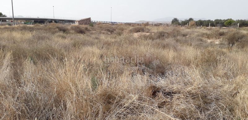 Foto b401c1a2-ad91-4607-a74e-80126d006924. Finca rústica a Moralet Alicante