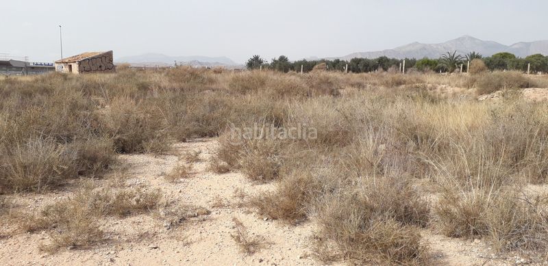 Foto d41dbb5c-9f38-4ed6-9a0c-7cf5d27c5c83. Finca rústica a Moralet Alicante