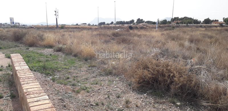Foto e003fa04-c940-4022-8410-f9edf6038ba5. Finca rústica a Moralet Alicante