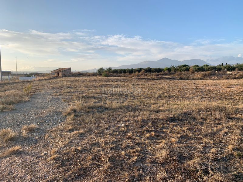 Foto e9a46775-d24f-4fbb-a4dc-e699d8dacad4. Finca rústica a Moralet Alicante