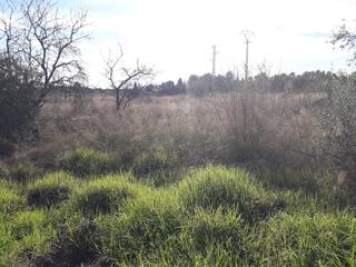 Terreno residenziale in Los Girasoles