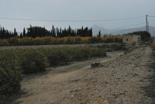 Rural plot in Agost