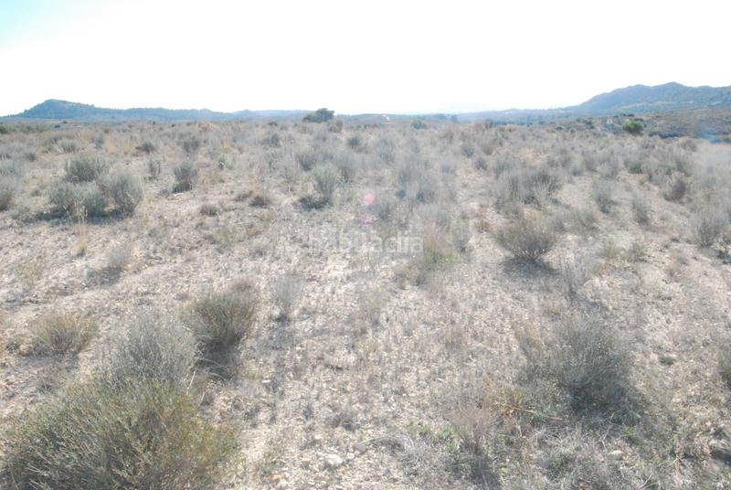 Foto bc66f32d-3730-4124-8437-12023af22a43. Fondo rustico in Moralet Alicante