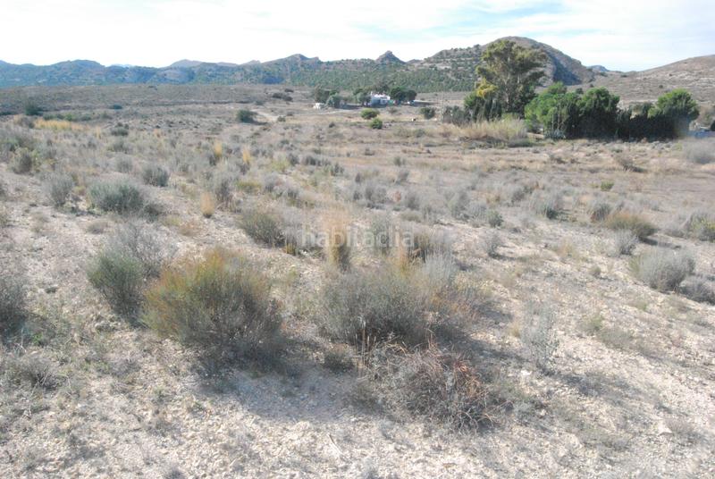 Foto 3d7fe4f0-360a-48b1-aa08-5076a315e786. Propriété dans Moralet Alicante