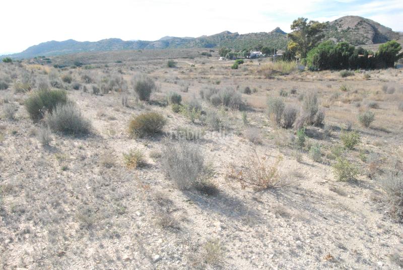 Foto a2bd67a2-7c6f-4fce-9a3b-371742fe26e5. Finca rústica a Moralet Alicante