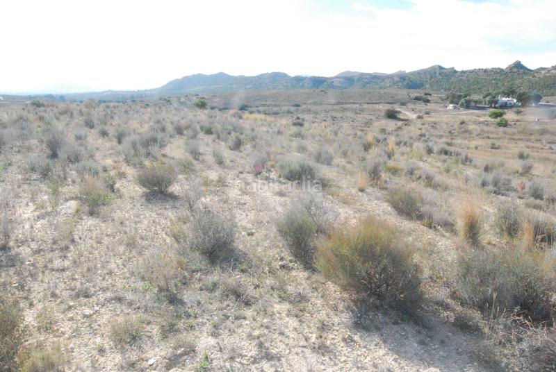 Foto be4673fa-7213-4d74-8f93-be1fc82dfc3b. Finca rústica en Moralet Alicante