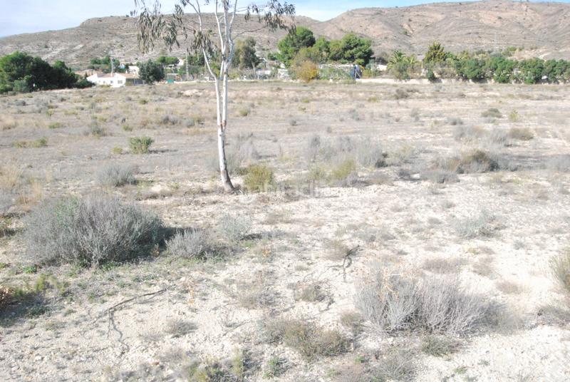 Foto d255db7d-9ed8-44ab-8ef9-cae6ce088617. Finca rústica en Moralet Alicante