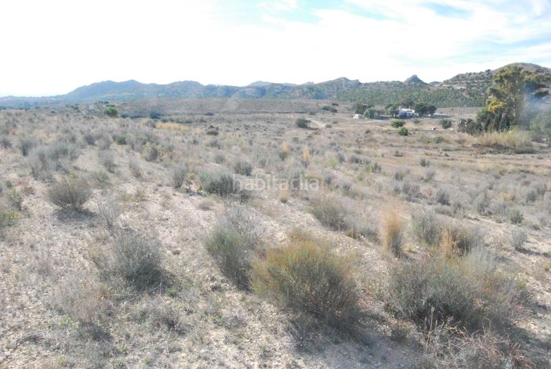 Foto ebb77d54-7f93-456f-98a5-51c2d0054e85. Finca rústica en Moralet Alicante