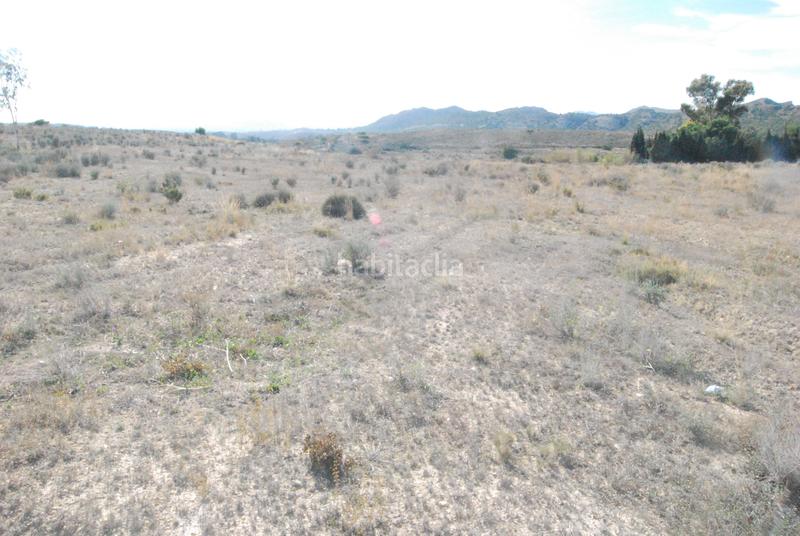 Foto eeaf3fb6-c6b3-437f-a3ce-ea1c54dcd50a. Finca rústica en Moralet Alicante