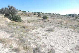 Fondo rustico in Moralet