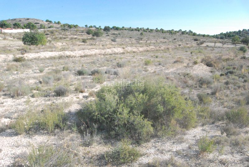 Foto 8330bccf-5a1a-43eb-89d4-bd7f06f73fed. Finca rústica a Moralet Alicante