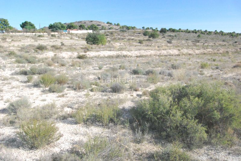 Foto a462ce0f-cb63-41bf-824f-f47502031d99. Finca rústica a Moralet Alicante