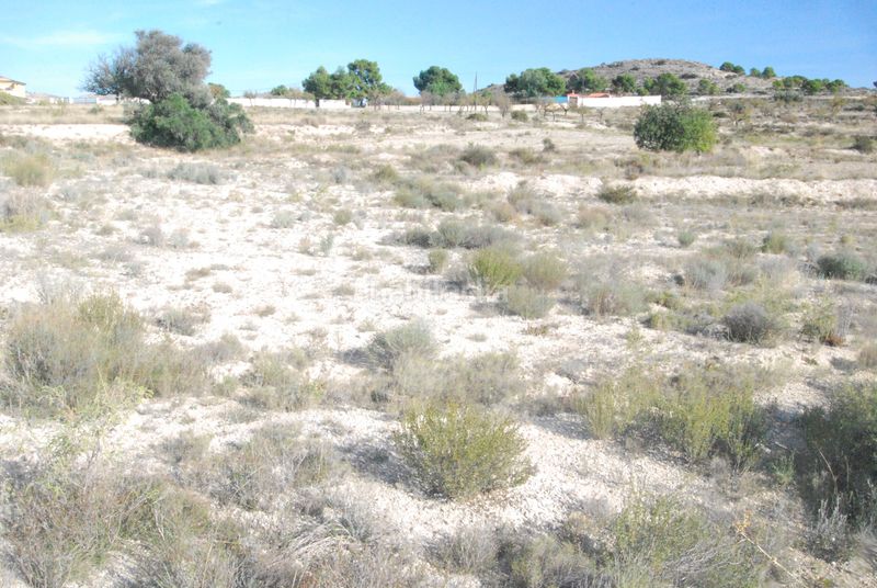 Foto b7345f68-4f21-4d55-a1a0-a0ab119bcf15. Finca rústica a Moralet Alicante