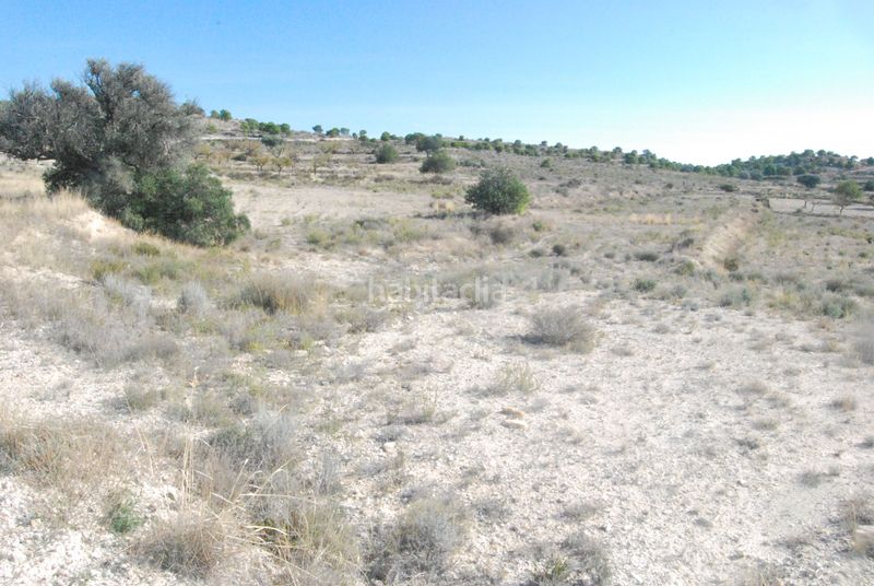 Foto bc9ec818-8a50-4bcf-a8aa-ffe4cfd154a8. Finca rústica a Moralet Alicante