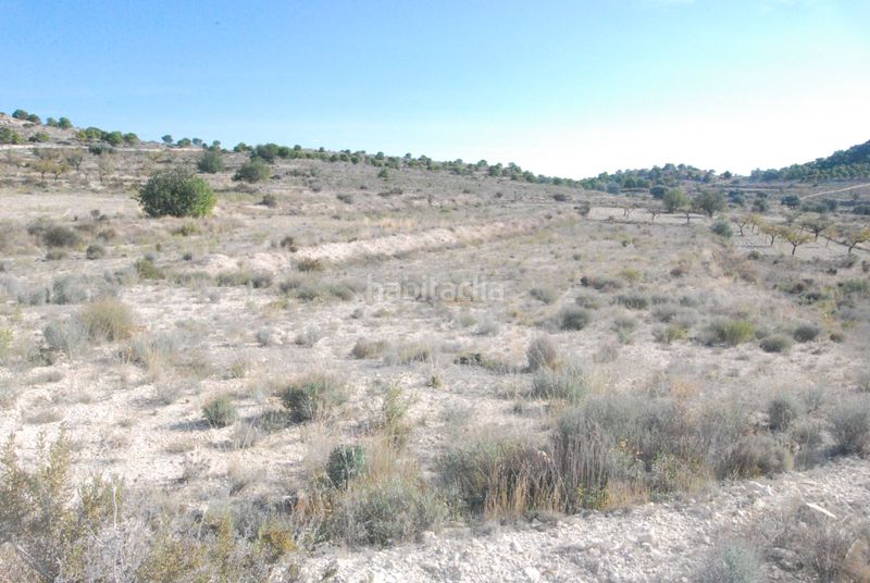 Foto c7c61574-e6fa-409b-b6f8-6d3f36fc7eb5. Finca rústica a Moralet Alicante