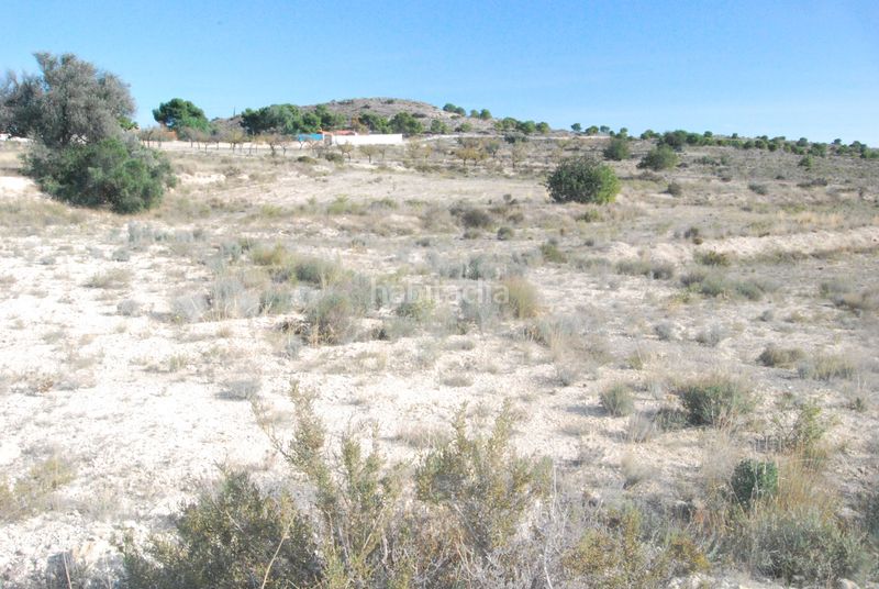 Foto fbaca62a-3954-4c6c-8750-1ebb98d73f53. Finca rústica a Moralet Alicante