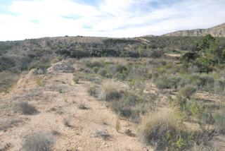 Rural plot in Moralet