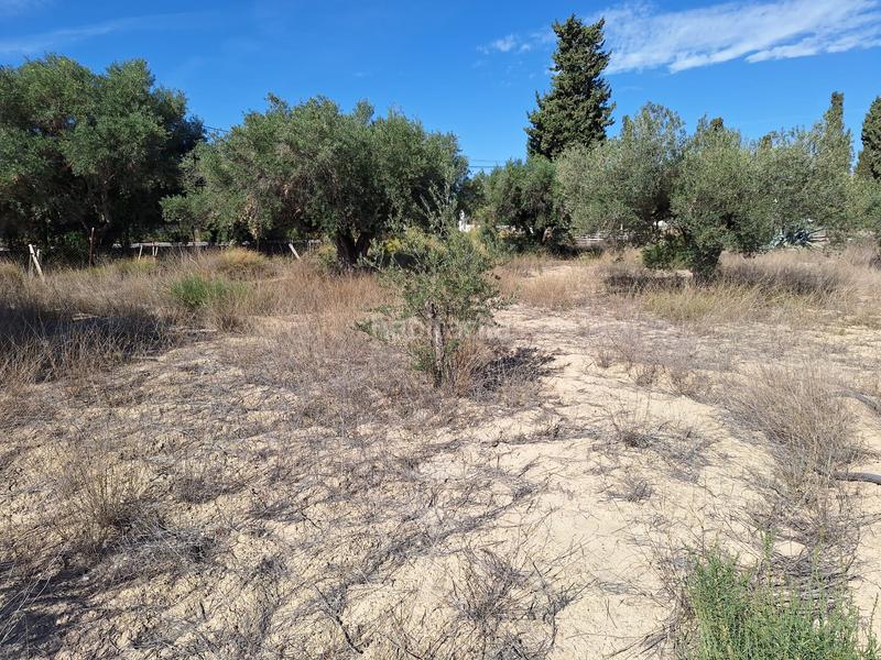 Foto 07c9939d-a7b3-49aa-a295-75e3fae67e94. Propriété dans Cañada del Fenollar Alicante