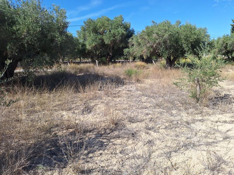 Foto 0899e525-8654-4bb0-9967-ff1feec479ec. Propriété dans Cañada del Fenollar Alicante