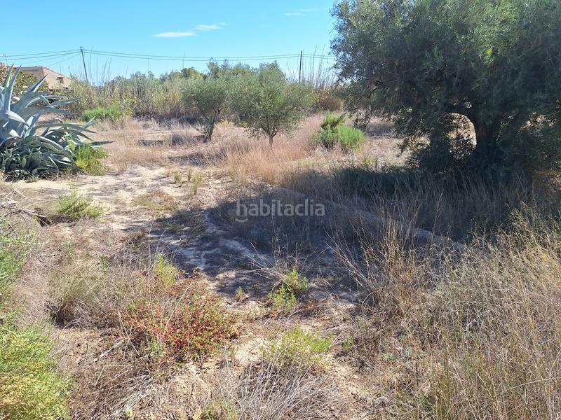 Foto 50a9132b-9705-4e44-8a6a-0c8ef4a1128b. Propriété dans Cañada del Fenollar Alicante