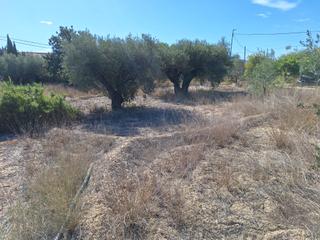 Landgut in Cañada del Fenollar. Oportunidad muy interesante¡¡¡¡¡¡