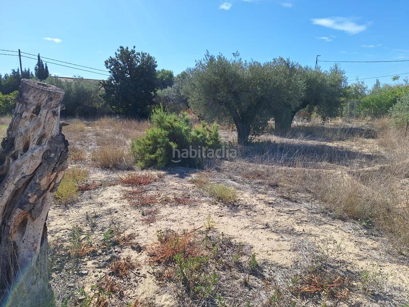 Foto 80bba282-d729-4cd7-9cd4-00222a444e49. Propriété dans Cañada del Fenollar Alicante
