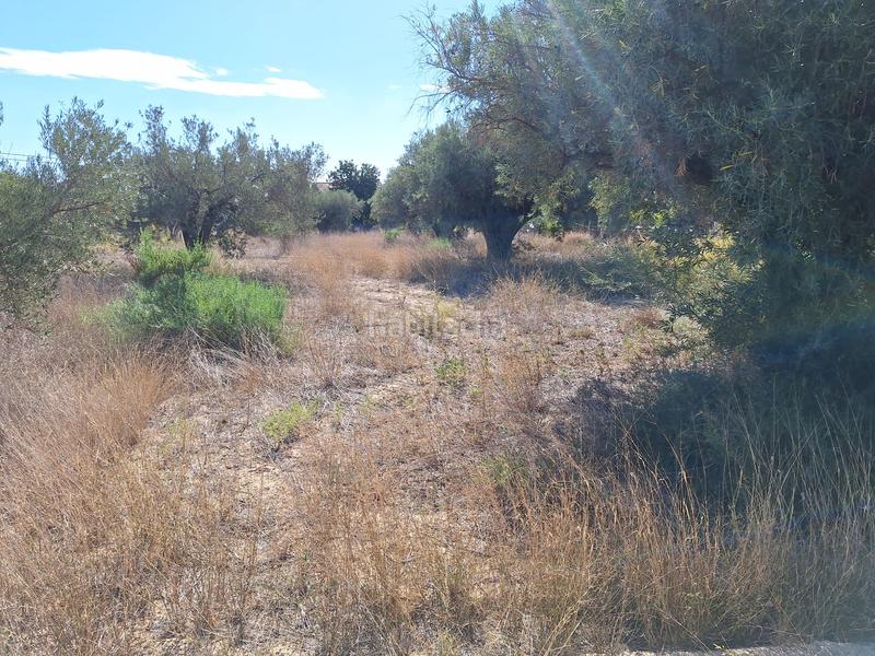 Foto 89df57fc-4bfc-45fd-a438-e57ad561b498. Propriété dans Cañada del Fenollar Alicante