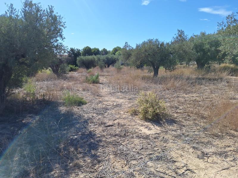 Foto ae371e87-6dd2-45d9-85b1-7603d3d47ac7. Propriété dans Cañada del Fenollar Alicante