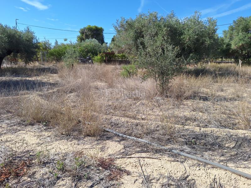 Foto b2b44f57-c561-4c54-ac15-e9810a1310a7. Propriété dans Cañada del Fenollar Alicante