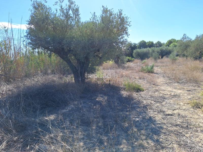 Foto da80b2a4-4aae-49f5-9c5b-d81743b0fa58. Propriété dans Cañada del Fenollar Alicante