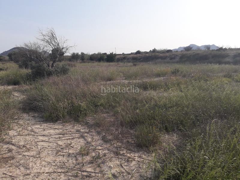 Foto 026c81bc-85f2-41dc-a1ae-3ca303058293. Finca rústica a El Verdegàs Alicante