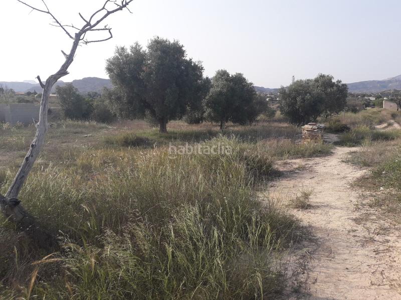 Foto 6bb13ae4-263c-4bbe-adc9-f636af7af3c4. Finca rústica a El Verdegàs Alicante