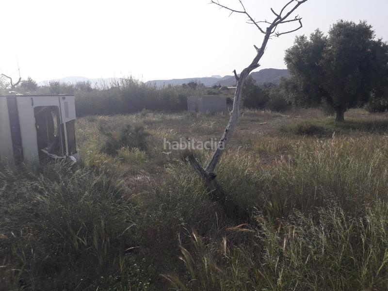 Foto cd360e07-b1d7-498f-bc22-78574e2f8b53. Finca rústica a El Verdegàs Alicante