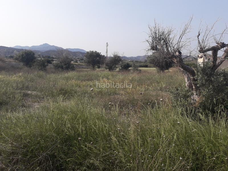 Foto 4adaf9e4-1605-467e-a270-cd0eac8a0beb. Finca rústica en El Verdegàs Alicante