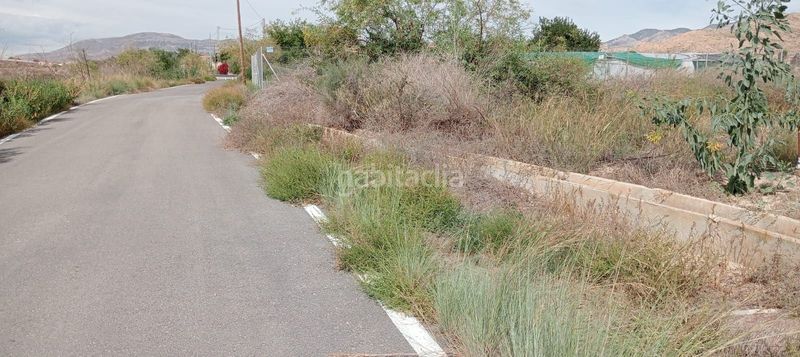 Foto 712ee28f-4819-4ba2-8dce-b0d801ae0901. Finca rústica a Moralet Alicante