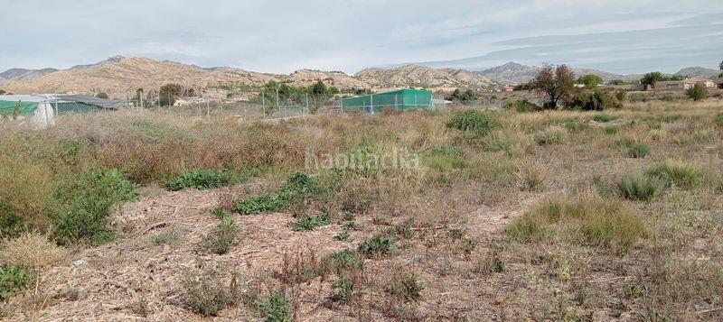 Foto bb386188-1d43-44d8-82fc-8bdc6d00558a. Finca rústica a Moralet Alicante
