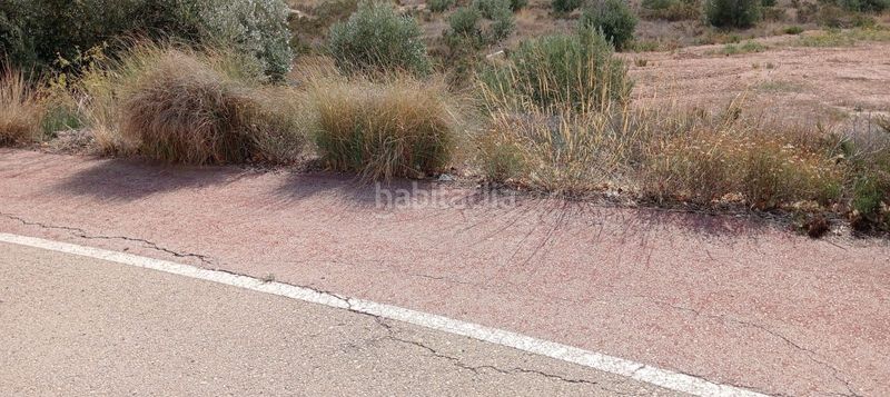 Foto 4a7c53f5-d852-4db1-8339-c04b0ad36ea4. Finca rústica a Moralet Alicante