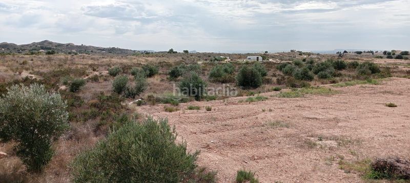 Foto 5b133ff1-6d56-4739-8e7a-7d0f80bb981d. Finca rústica a Moralet Alicante