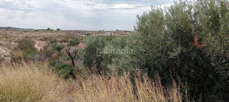 Foto 5d0c2c13-5323-438e-85dd-c207e88426b9. Finca rústica a Moralet Alicante