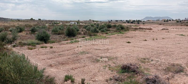 Foto e8f401d6-d4fb-453e-b061-4aae80a8100b. Finca rústica a Moralet Alicante