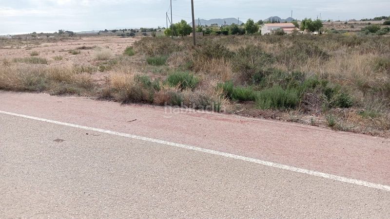 Foto 1b0aca3d-de9d-436a-a1a2-70aa16a7a1b0. Finca rústica a Moralet Alicante