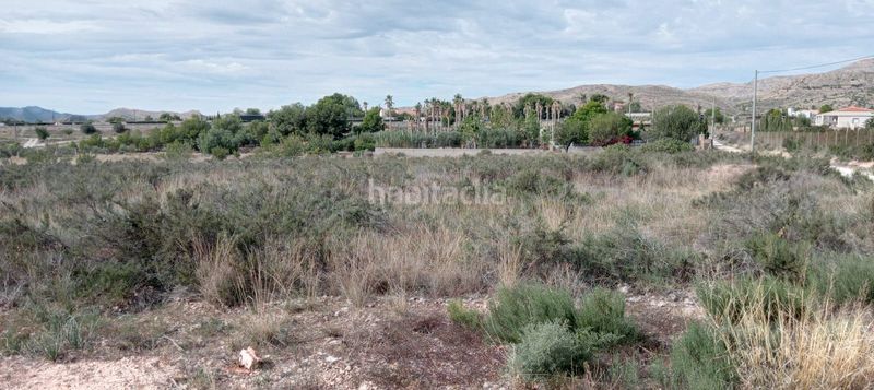 Foto 7d819929-457c-47b9-8cf7-f8c5b39e0542. Finca rústica a Moralet Alicante