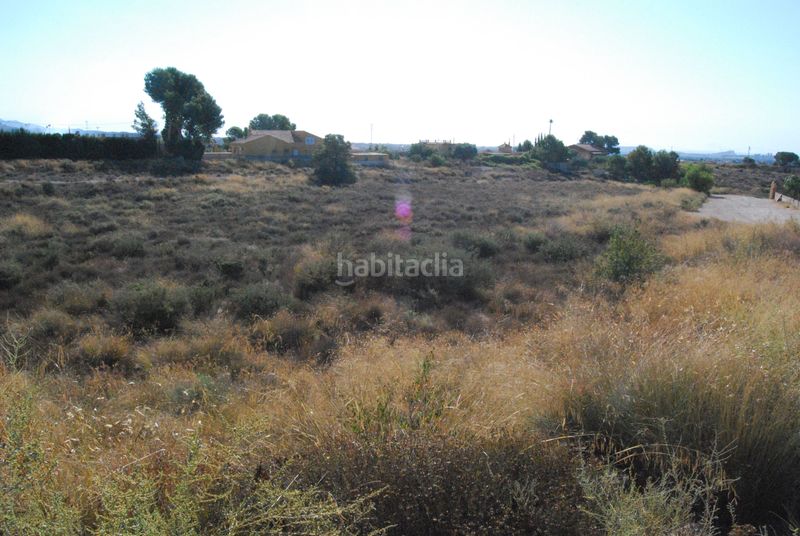Foto 16a2f151-a603-4b34-9a15-68feac88fe4b. Terreny residencial a Agost