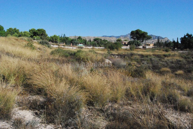 Foto 3d1a88eb-0815-4e76-9e26-a36e78a48946. Terreny residencial a Agost
