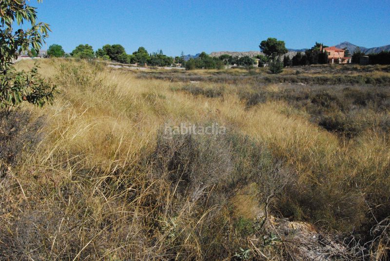 Foto 4a37be31-77b3-4cd1-917b-00b9dc2d0d82. Terreny residencial a Agost