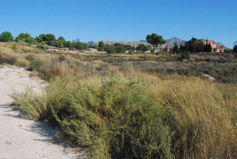Foto 591dd429-3d1d-4514-8711-3563327e367c. Terreny residencial a Agost