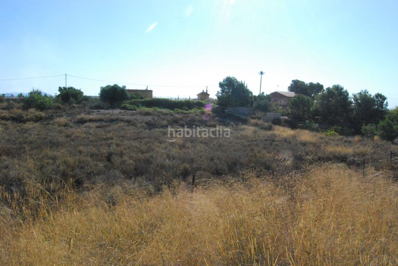 Foto 67894164-d791-4c50-b40a-5aad5937716a. Terreny residencial a Agost