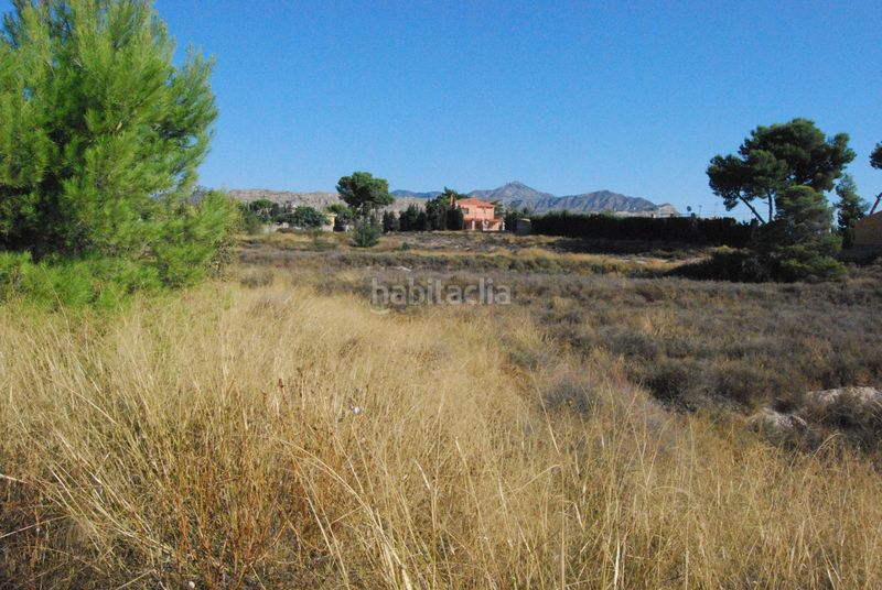 Foto 80720c27-e67f-43c5-af85-bf24f3ace60b. Terreny residencial a Agost