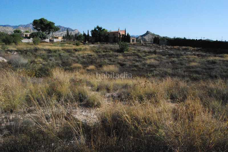 Foto a54c2ea2-5375-40fc-8431-fafba68079da. Terreny residencial a Agost