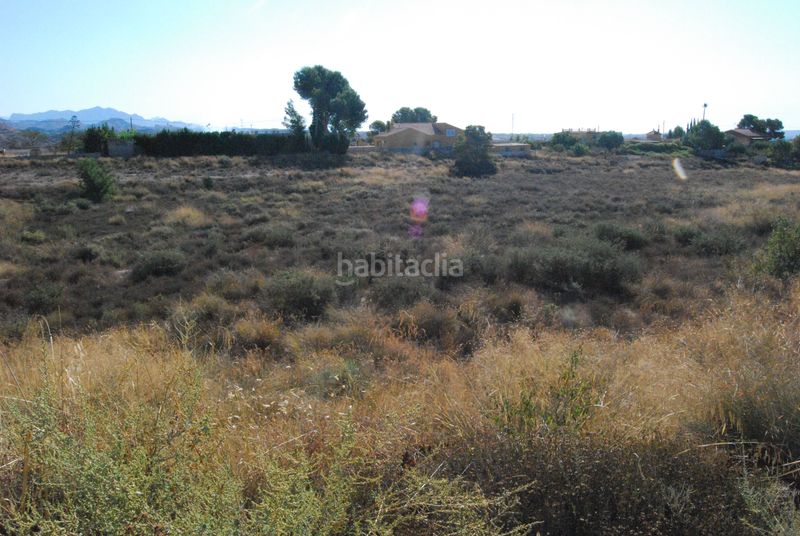 Foto a68ec72a-fd8f-44b7-8f41-005ea3f1f104. Terreny residencial a Agost